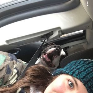 Meet your Posher, Blair